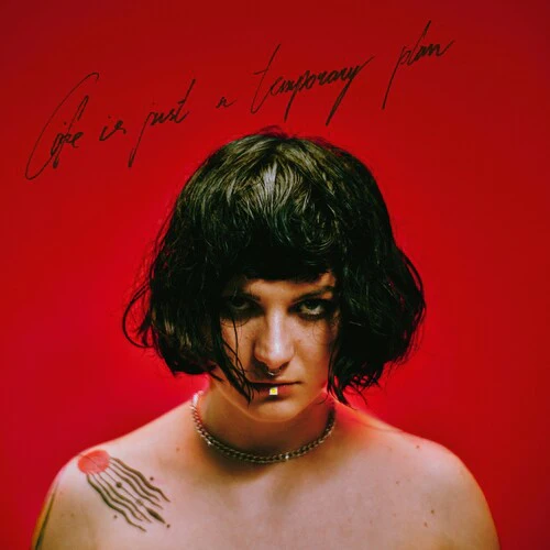 ABBIE FALLS - LIFE IS JUST A TEMPORARY PLAN (Vinyl LP)