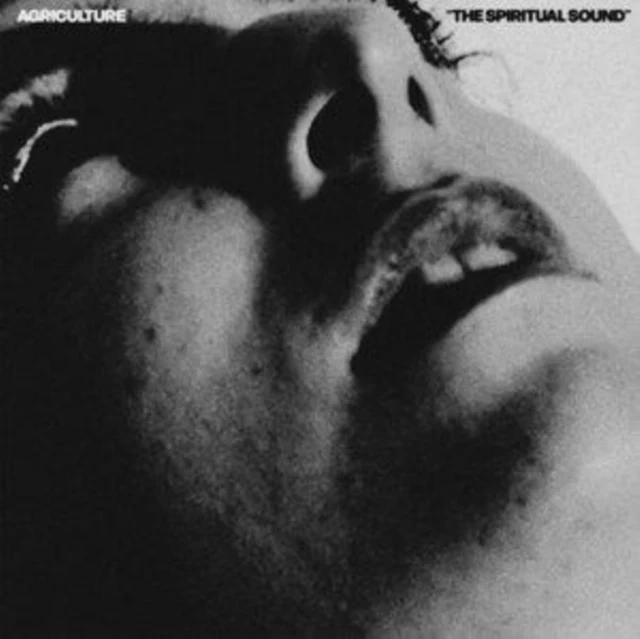 AGRICULTURE - SPIRITUAL SOUND (Vinyl LP)