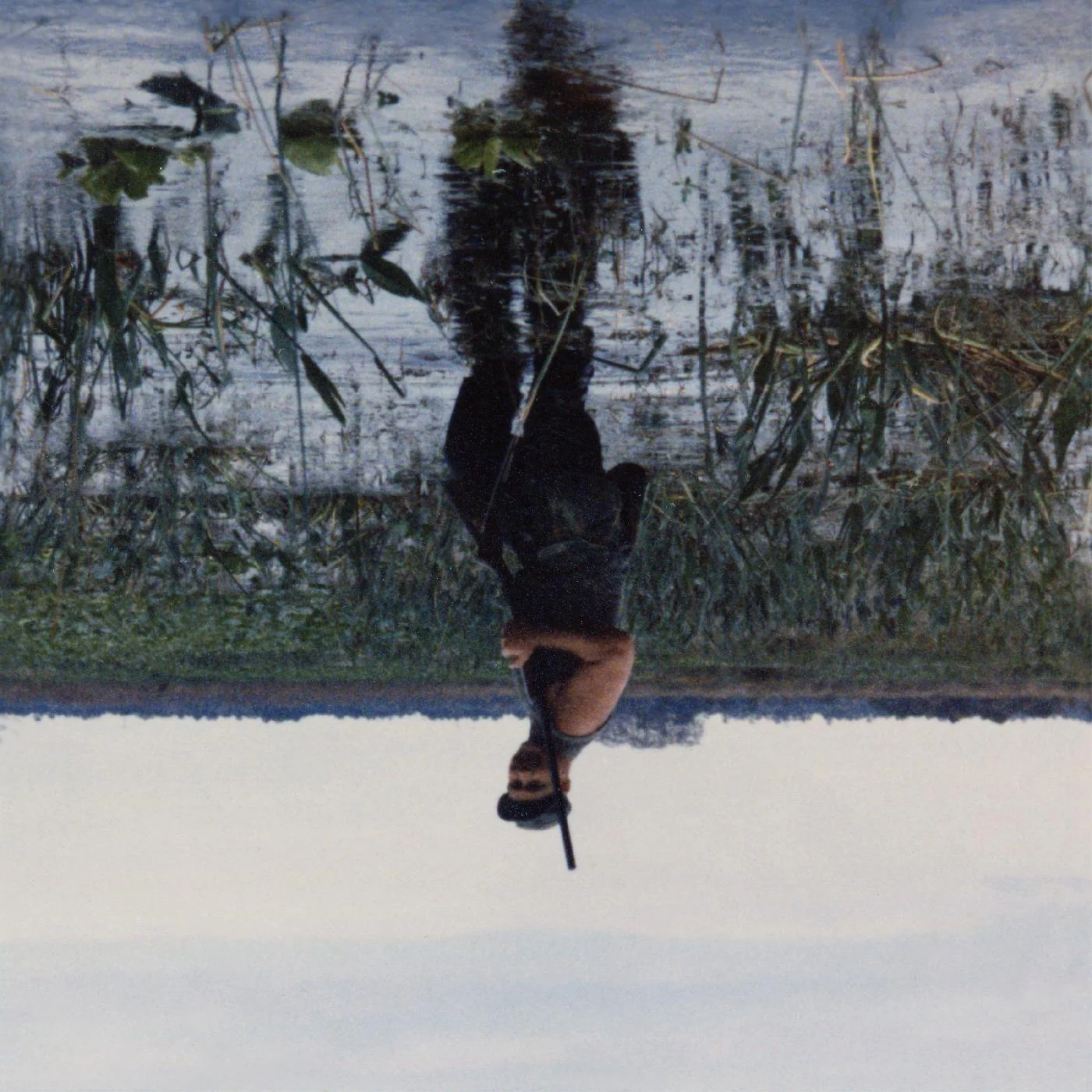 Animal Drowning (GRAY CASSETTE) [Cassette]