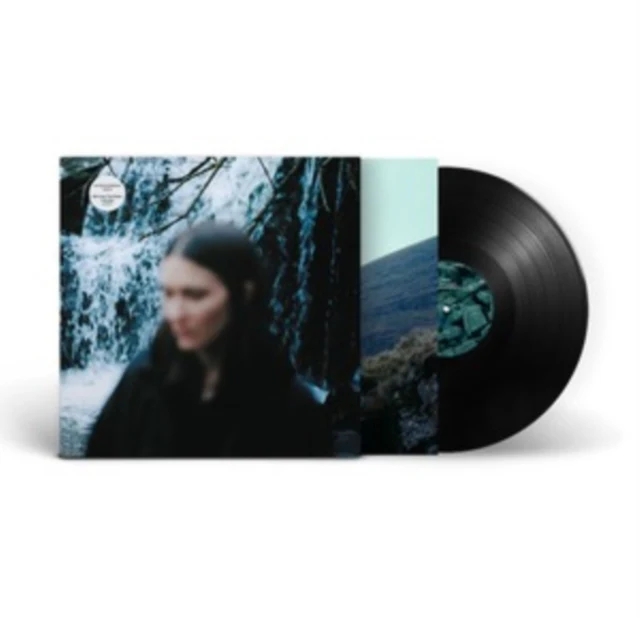 ART SCHOOL GIRLFRIEND - LEAN IN (Vinyl LP)