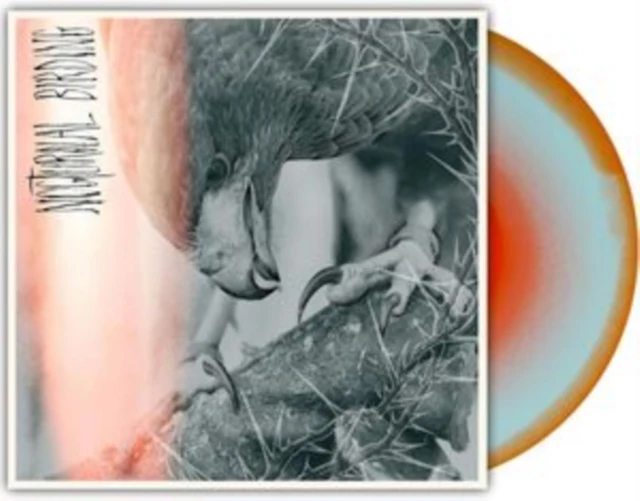 AUTHOR & PUNISHER - NOCTURNAL BIRDING (CUSTOM MERGE VINYL) (Vinyl LP)
