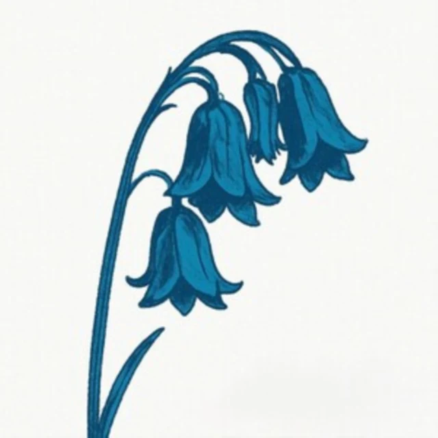 BLUEBELLS - THIS IS THE BLUEBELLS (GLADE GREEN VINYL/2LP) (Vinyl LP)