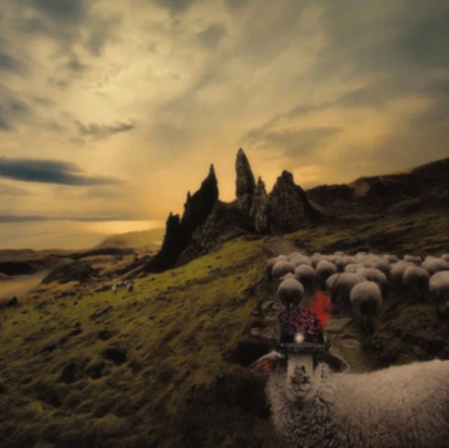 CARDUCCI,FRANCK - SHEEPLE (Vinyl LP)