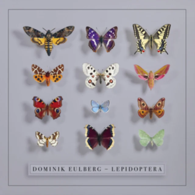EULBERG,DOMINIK - LEPIDOPTERA (2LP) (Vinyl LP)