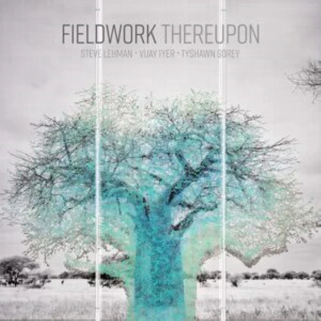 FIELDWORK - THEREUPON (Vinyl LP)