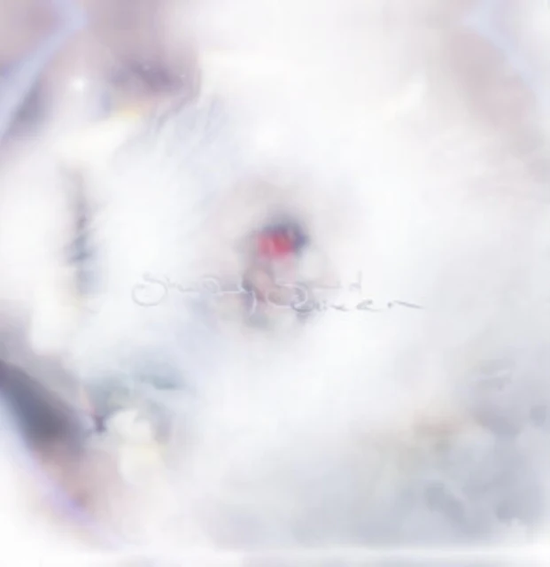 GLIXEN - SHE ONLY SAID (Vinyl LP)