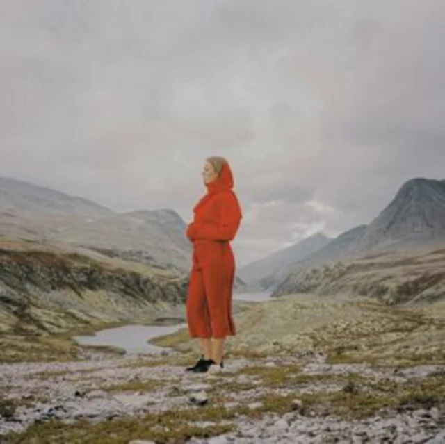 HABEL,JUNI - EVERGREEN IN YOUR MIND (Vinyl LP)