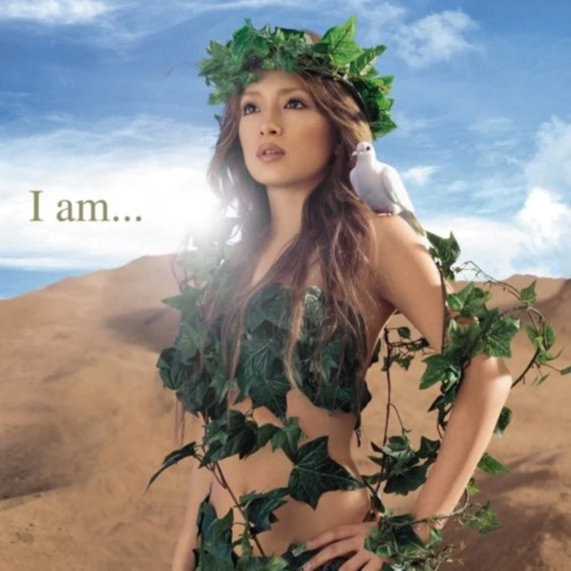 HAMASAKI,AYUMI - I AM... (2LP) (Vinyl LP)
