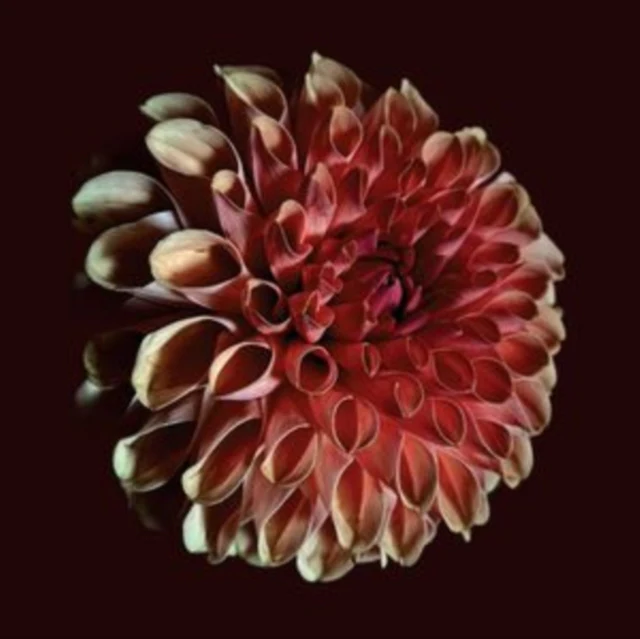 MOSS,JESSICA - UNFOLDING (Vinyl LP)