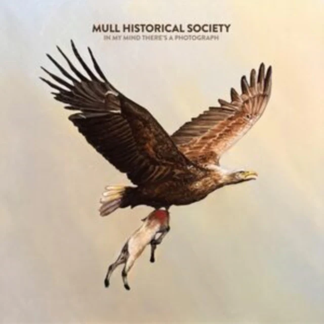 MULL HISTORICAL SOCIETY - IN MY MIND THERE'S A PHOTOGRAPH (OATMEAL VINYL) (Vinyl LP)