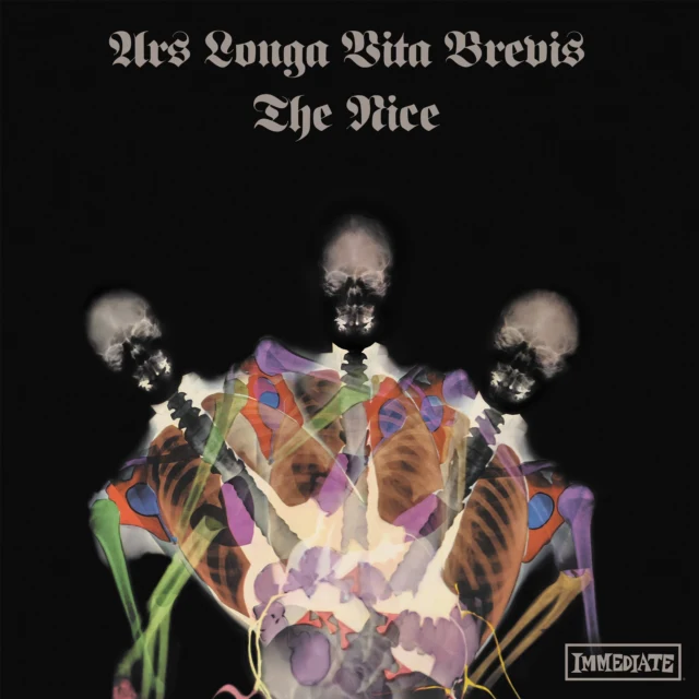 NICE - ARS LONGA VITA BREVIS (X-RAY MARBLED VINYL) (Vinyl LP)