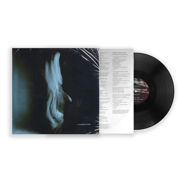 ODELL,TOM - WONDERFUL LIFE (X) (Vinyl LP)