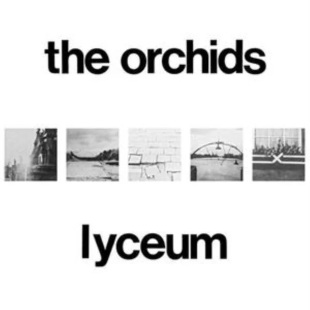 ORCHIDS - LYCEUM (2LP) (Vinyl LP)