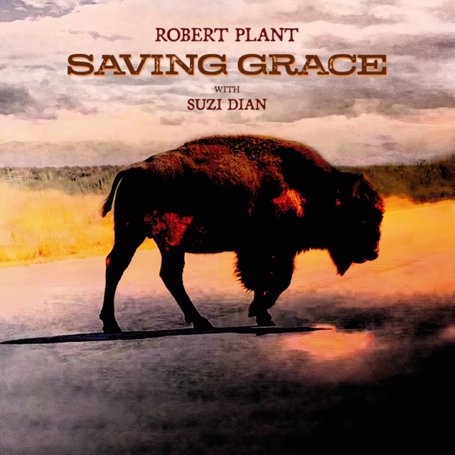 PLANT,ROBERT - SAVING GRACE (140G) (Vinyl LP)