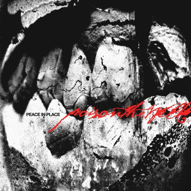 POISON THE WELL - PEACE IN PLACE (Music CD)