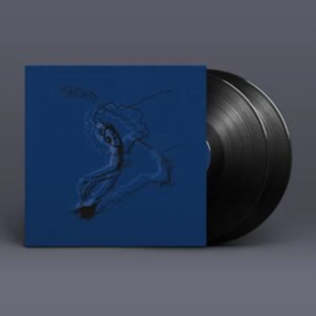 POLAR BEAR - DIM LIT (2LP) (Vinyl LP)