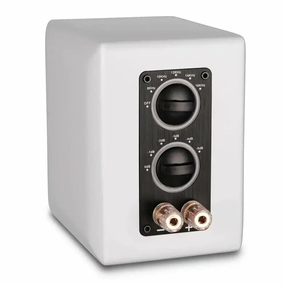 RST Aluminum Ribbon Super Tweeter Speaker Pair - Image 24