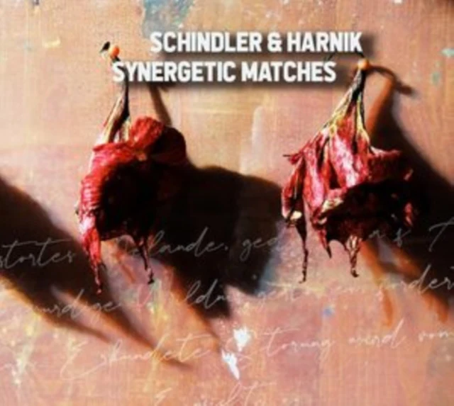 SCHINDLER & HARNIK - SYNERGETIC MATCHES (Music CD)