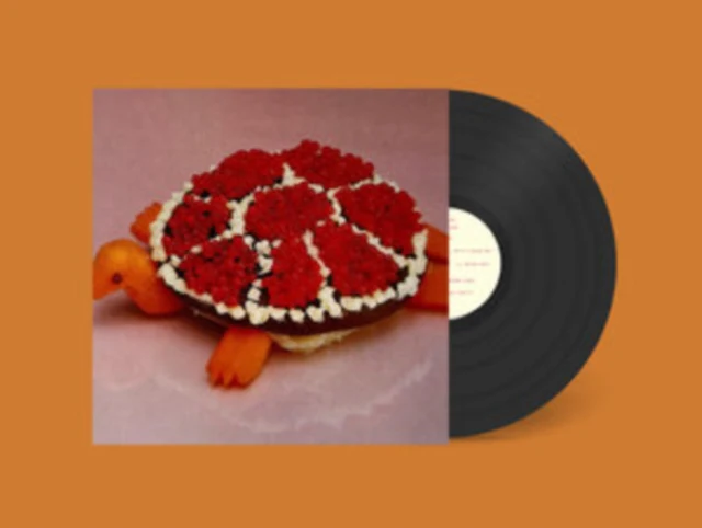 SHARP PINS - TURTLE ROCK (Vinyl LP)