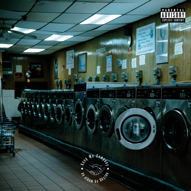 SKYZOO - KEEP ME COMPANY (Vinyl LP)