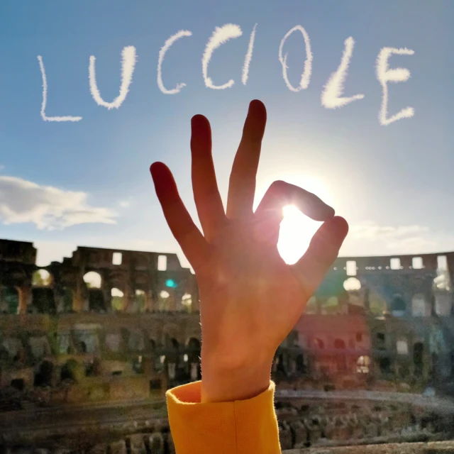 TAROZZI,SILVIA - LUCCIOLE (2LP) (Vinyl LP)