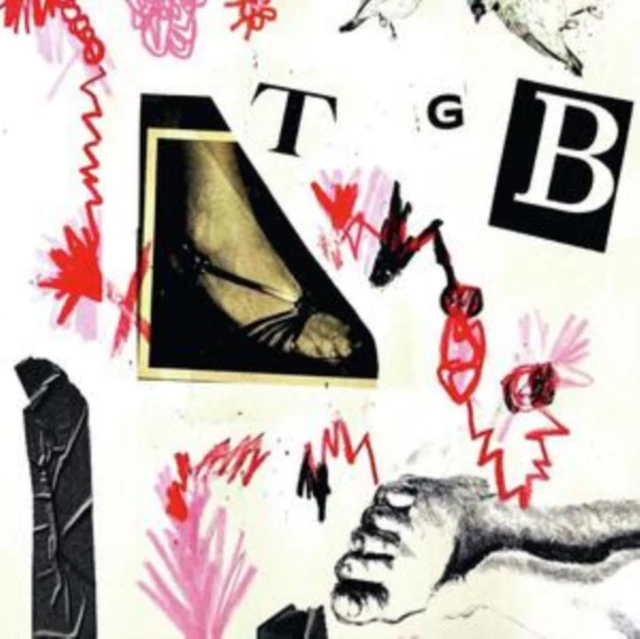 TERI GENDER BENDER - TGB (X) (Vinyl LP)