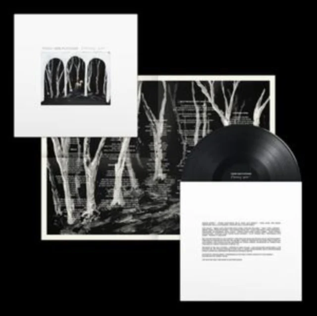 THESE NEW PURITANS - CROOKED WING (Vinyl LP)