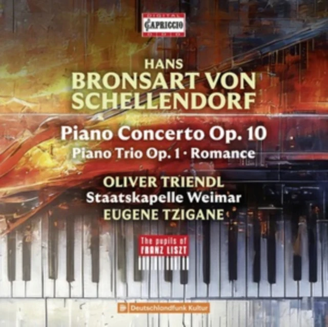 TRIENDL,OLIVER - HANS BRONSART VON SCHELLENDORF: PNO CON: PNO TRIO (Music CD)