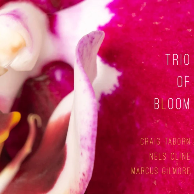 TRIO OF BLOOM - TRIO OF BLOOM (Music CD)