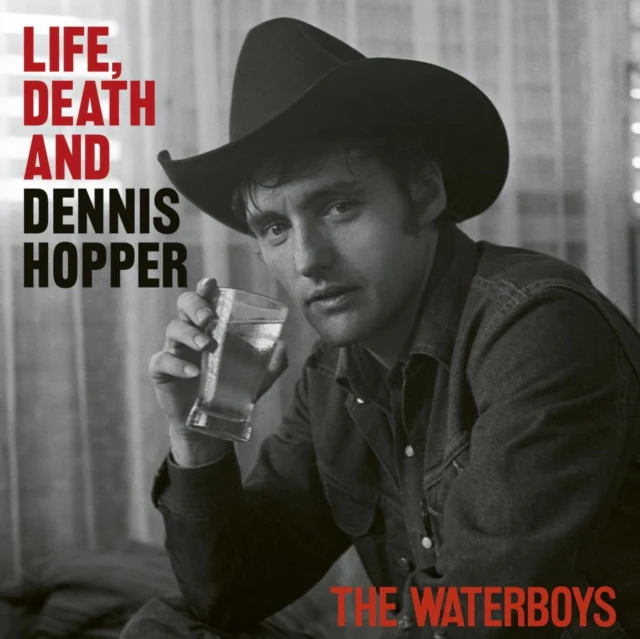 WATERBOYS - LIFE, DEATH & DENNIS HOPPER (X) (BURNT VINYL/2LP) (Vinyl LP)